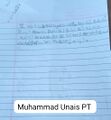Muhammed Unais P T