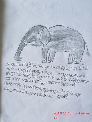 13379-KNR-KUNJ-AAHIL MAHAMOOD NAVAS.jpg