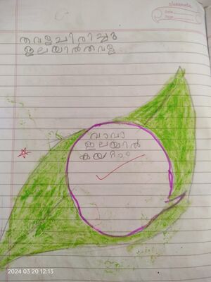 15205-WYD-KUNJ-Muhammed Ayan.jpeg