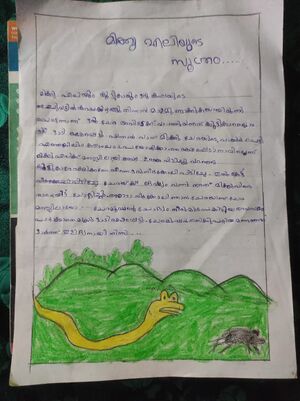 18227-MLP-KUNJ-Ayisha Rafa 1A.jpg