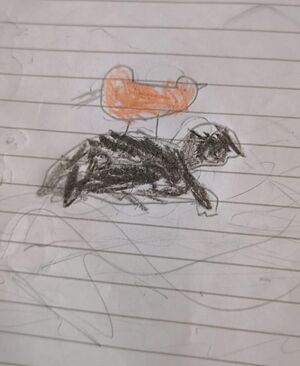 19443-MLP-KUNJ-MUHammed rishan.jpg