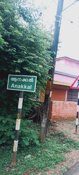 21099-ente gramam5.jpg