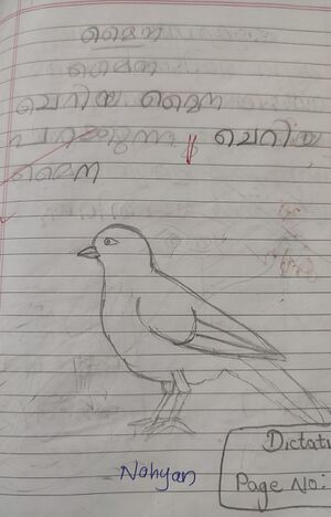 23532-TSR-KUNJU-MUHAMMED NAHYAN.jpeg