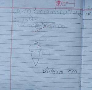 26507-EKM-KUNJ-MISHARA C M.jpg