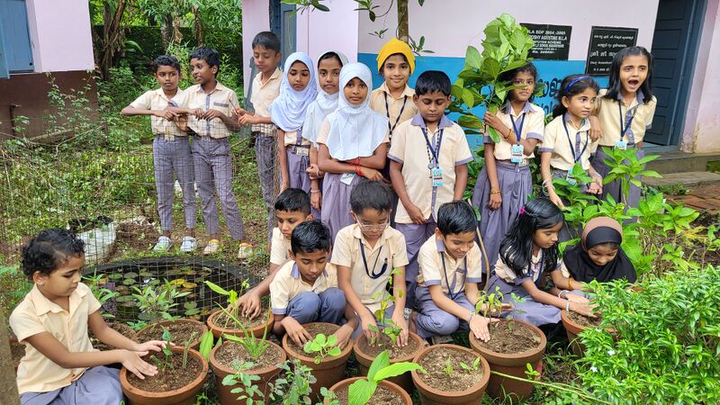 പ്രമാണം:29228 sed1.jpg