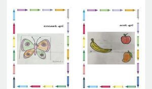 41647-KLM-KUNJ-DEVADAKSHAN KASI.jpeg