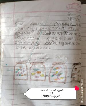 42087 TVM Kashinathan S kunj.jpeg