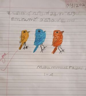 44213muhammed faisal.jpg