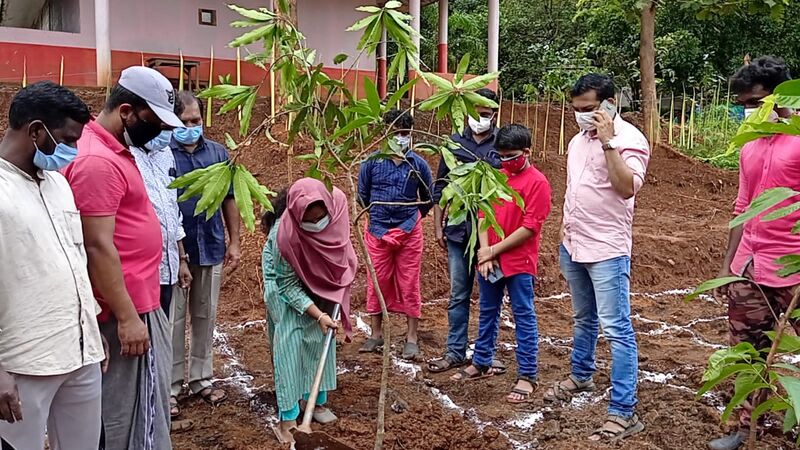 പ്രമാണം:48554 miyavaakki.jpeg