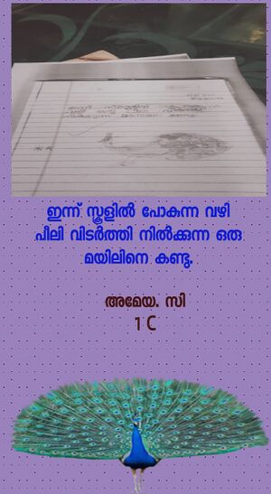 48559-MLP-KUNJ-AMEYA I C.jpeg