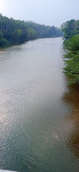 11338 pazhaswini river.resized.jpg