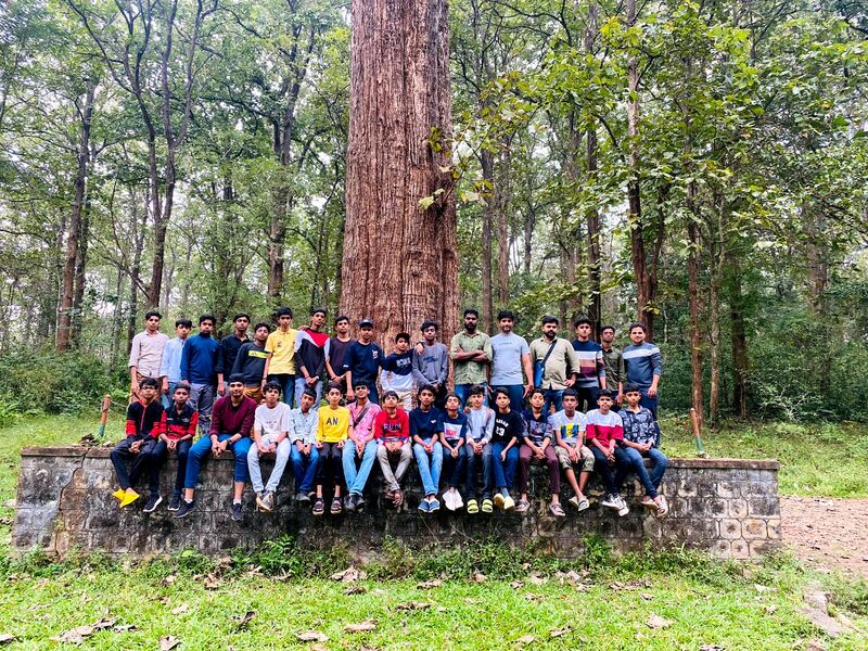 പ്രമാണം:13055 natural kyamp2.jpg