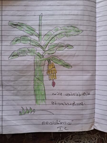 പ്രമാണം:15369 WYD KUNJ VAISHNAV 1C.jpeg