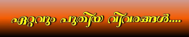 പ്രമാണം:30039 other.jpeg