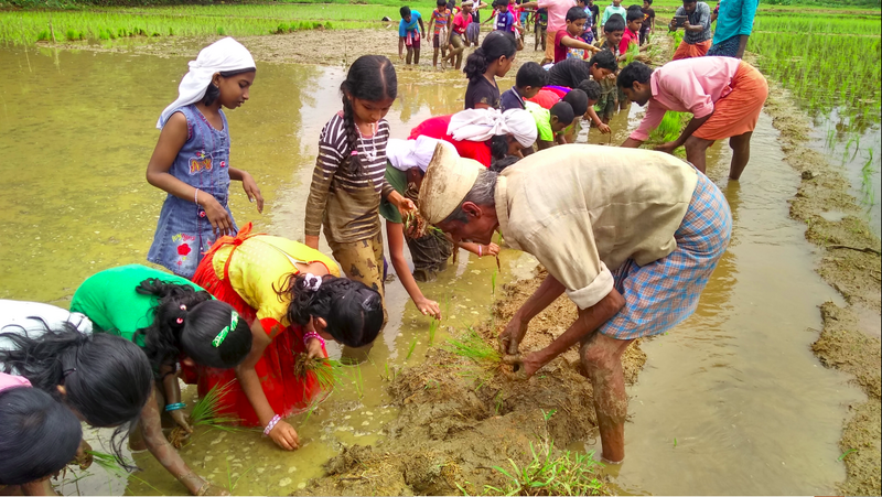 പ്രമാണം:31207 29.png