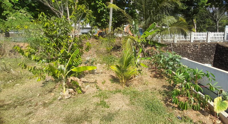 പ്രമാണം:32331 vegi.garden.jpg