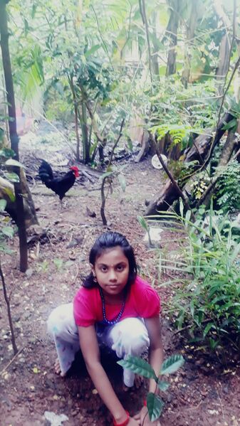 പ്രമാണം:33070 ps 22-2.jpeg