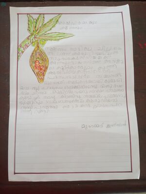 34240-ALP-KUNJ-MUHAMMED IHSAN-1C.jpg