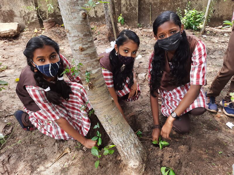 പ്രമാണം:35011 bp3.jpeg