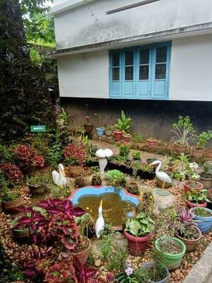 37268 Bio diversity parkresize.resized.jpg