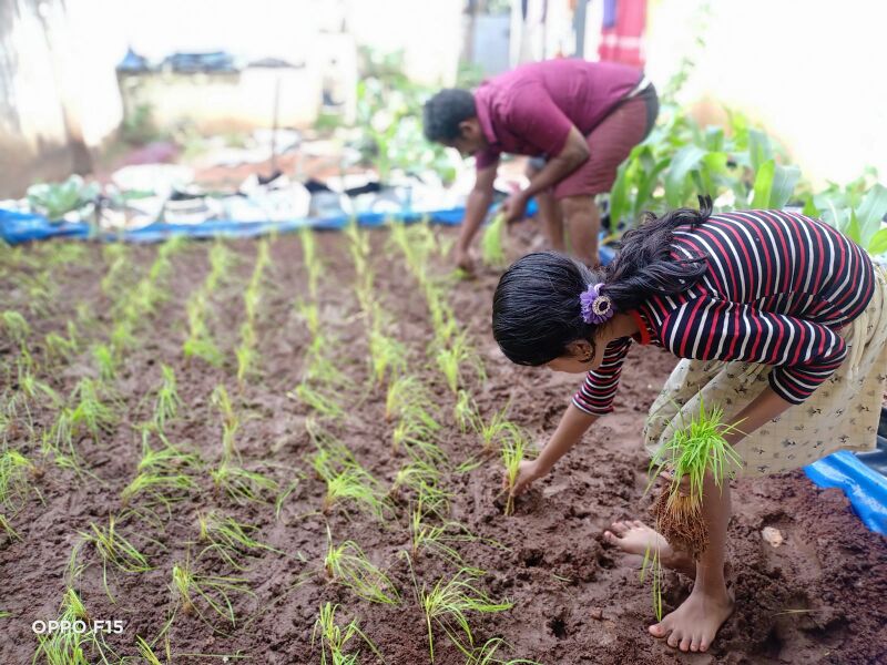 പ്രമാണം:44050 22 3 4 i9.jpeg