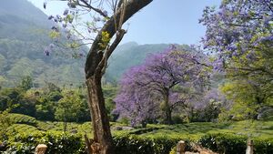 Image 2024-04-20 at 1.23.55 PM.jpg