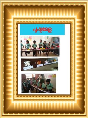 One flower show 13657.jpeg