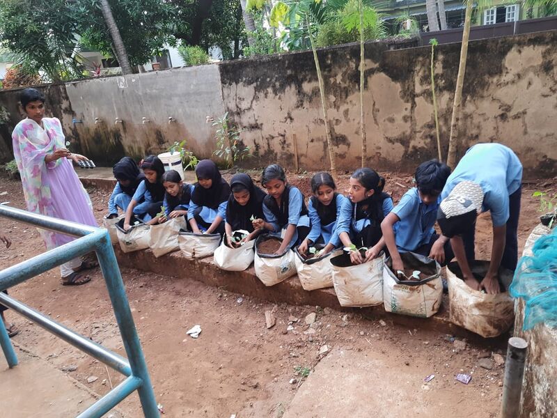 പ്രമാണം:11453- krushi1.jpeg