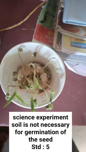 11469 simple experiment.jpeg