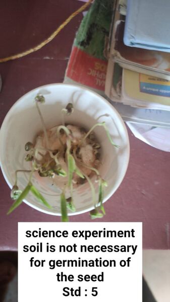 പ്രമാണം:11469 simple experiment.jpeg
