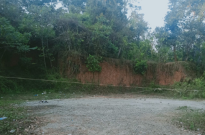 15223-SCHOOL 1.JPEG.png