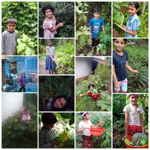 15367 vegetable4.jpg