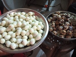 18679 snacks 24-25 (4).jpg