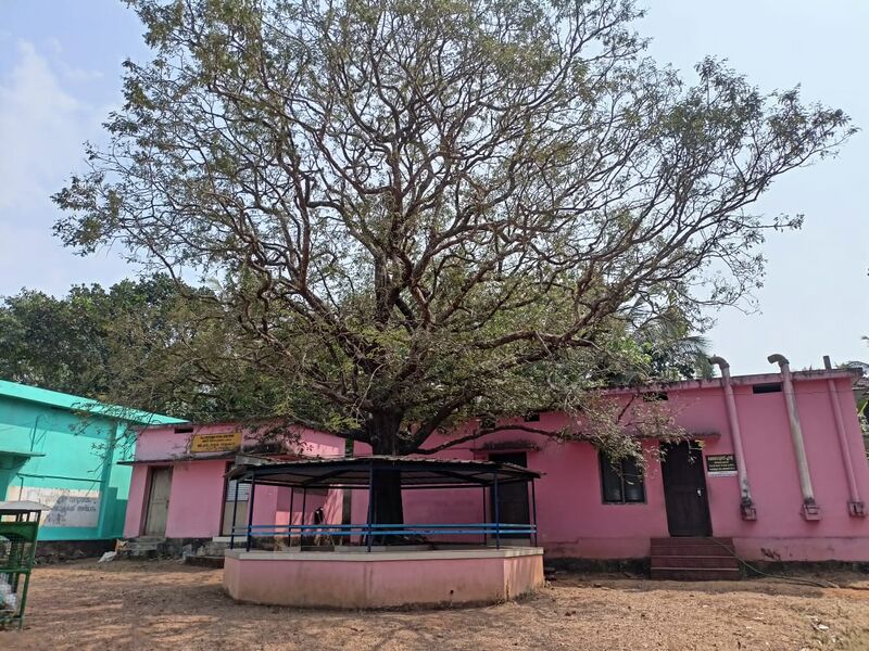 പ്രമാണം:19833 facility67.jpg