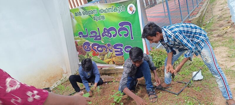 പ്രമാണം:34046 veg3.jpg