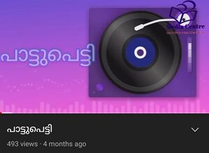 340 24 pattu petti.jpg