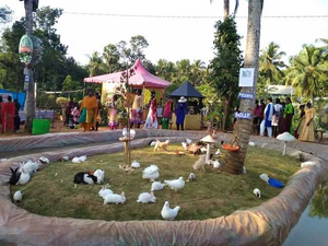 44049 ecotour 10.png