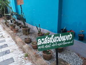 44055 cactus garden.jpg