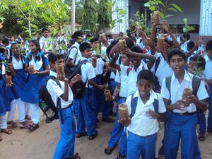 Envorinmnet13 35052 (1).JPG