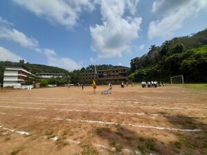 School Image 13049.jpeg