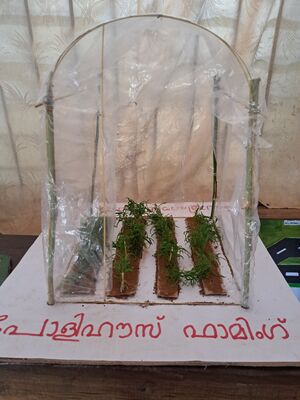 12070-padanotsavam pic 1.jpg