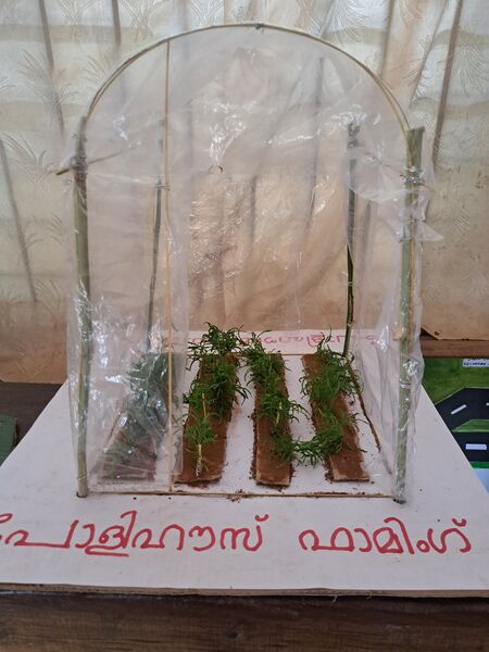 പ്രമാണം:12070-padanotsavam pic 1.jpg