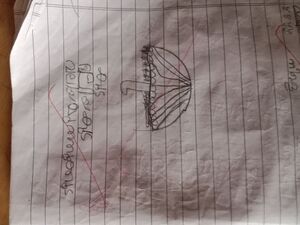 15082 WYD KUNJ ASHMIYA.jpg