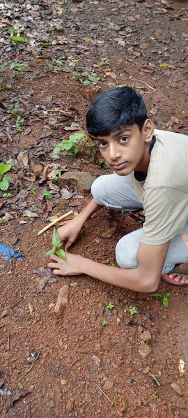 പ്രമാണം:18061 june5 2.jpeg