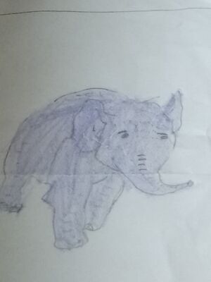 21552 pkd Anurudh b.jpg