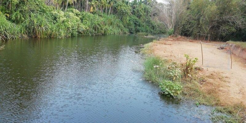 പ്രമാണം:21859 velliyarpuzha.jpeg