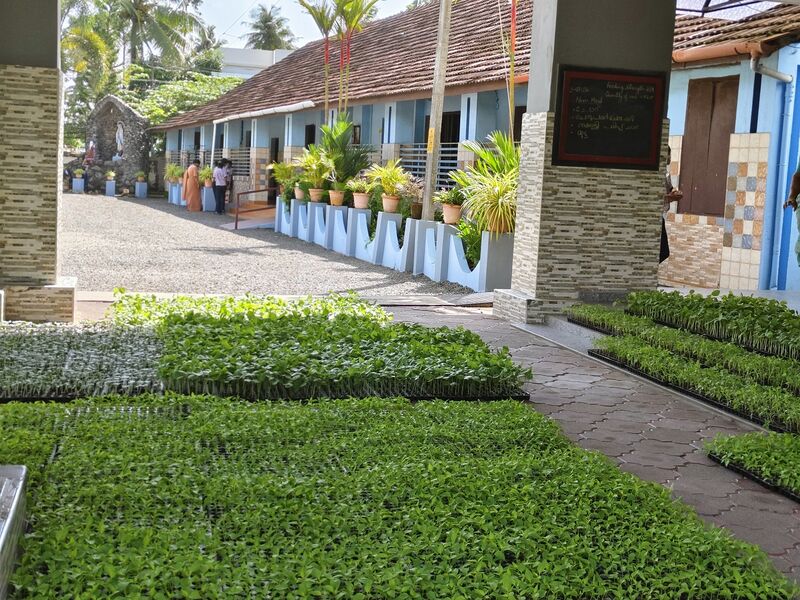 പ്രമാണം:26342 agri.jpg