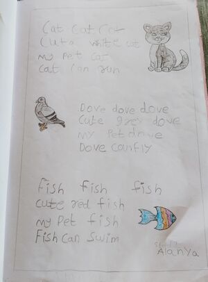 33224-KTM-KUNJ-ALANYA JACOB.jpg