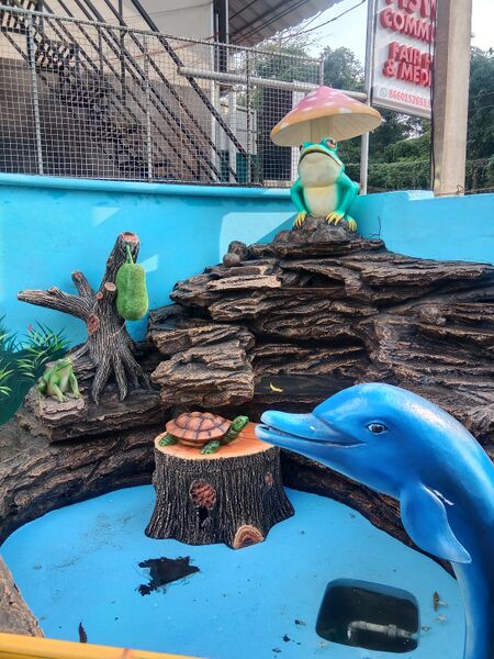 പ്രമാണം:43351 2025-26(96).jpg