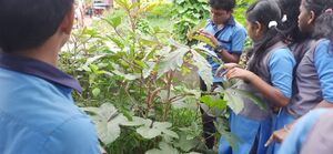 43453-club activity 1.jpg